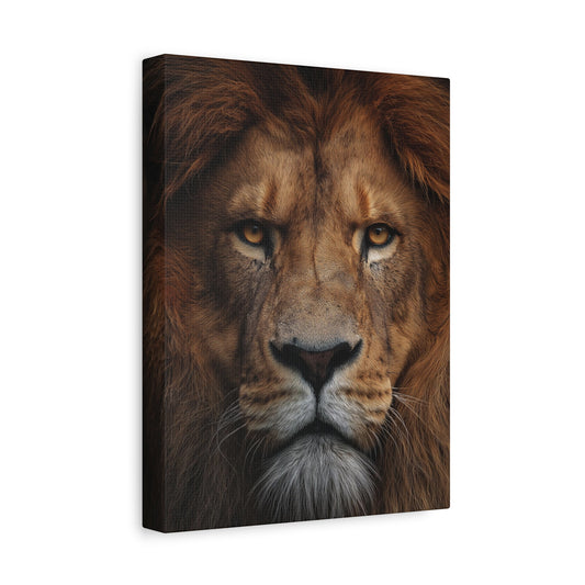 King’s Gaze™ Canvas